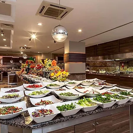 Calimera Hane Garden シダ