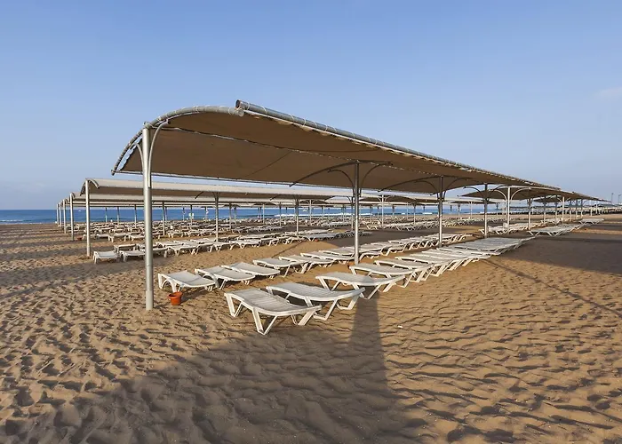 Calimera Hane Garden